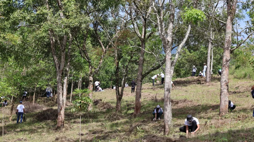 CCD Health - Voluntarios en el Día de La Reforestación en Villa Altagracia, RD